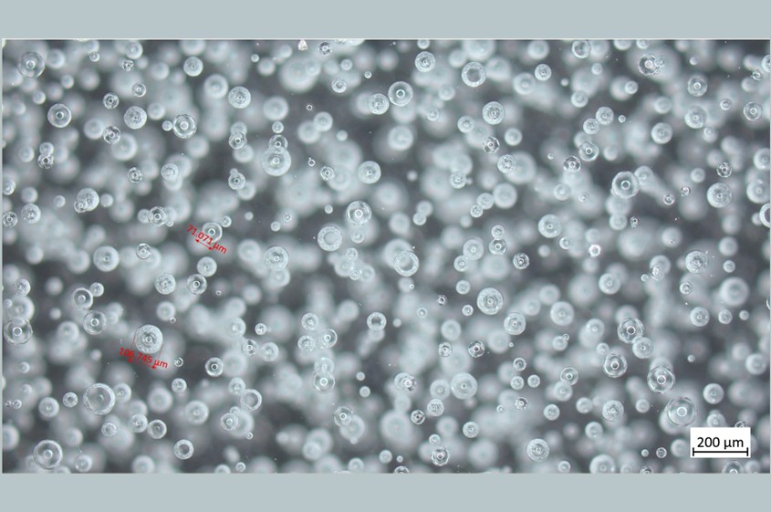 FLHO321H - 198-298.jpg FLHO321H - 198-298.jpg