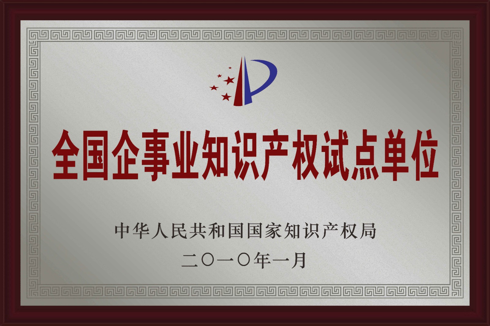 06-全國企事業單位知識產權試點單位.jpg